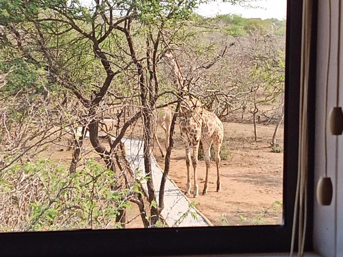말로스 파크 Marloth Kruger View 아파트 외부 사진
