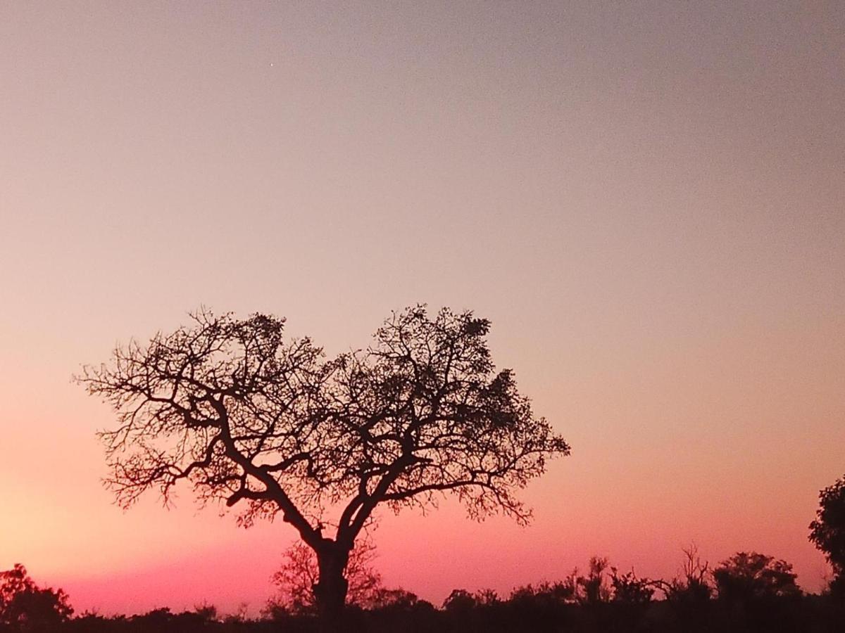 말로스 파크 Marloth Kruger View 아파트 외부 사진