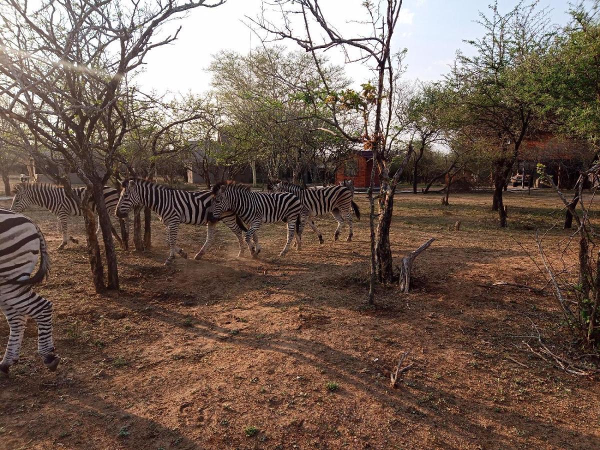 말로스 파크 Marloth Kruger View 아파트 외부 사진