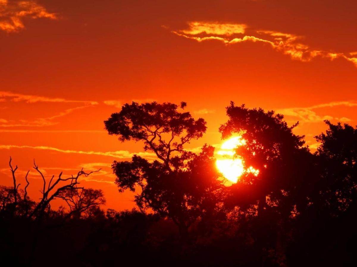 말로스 파크 Marloth Kruger View 아파트 외부 사진