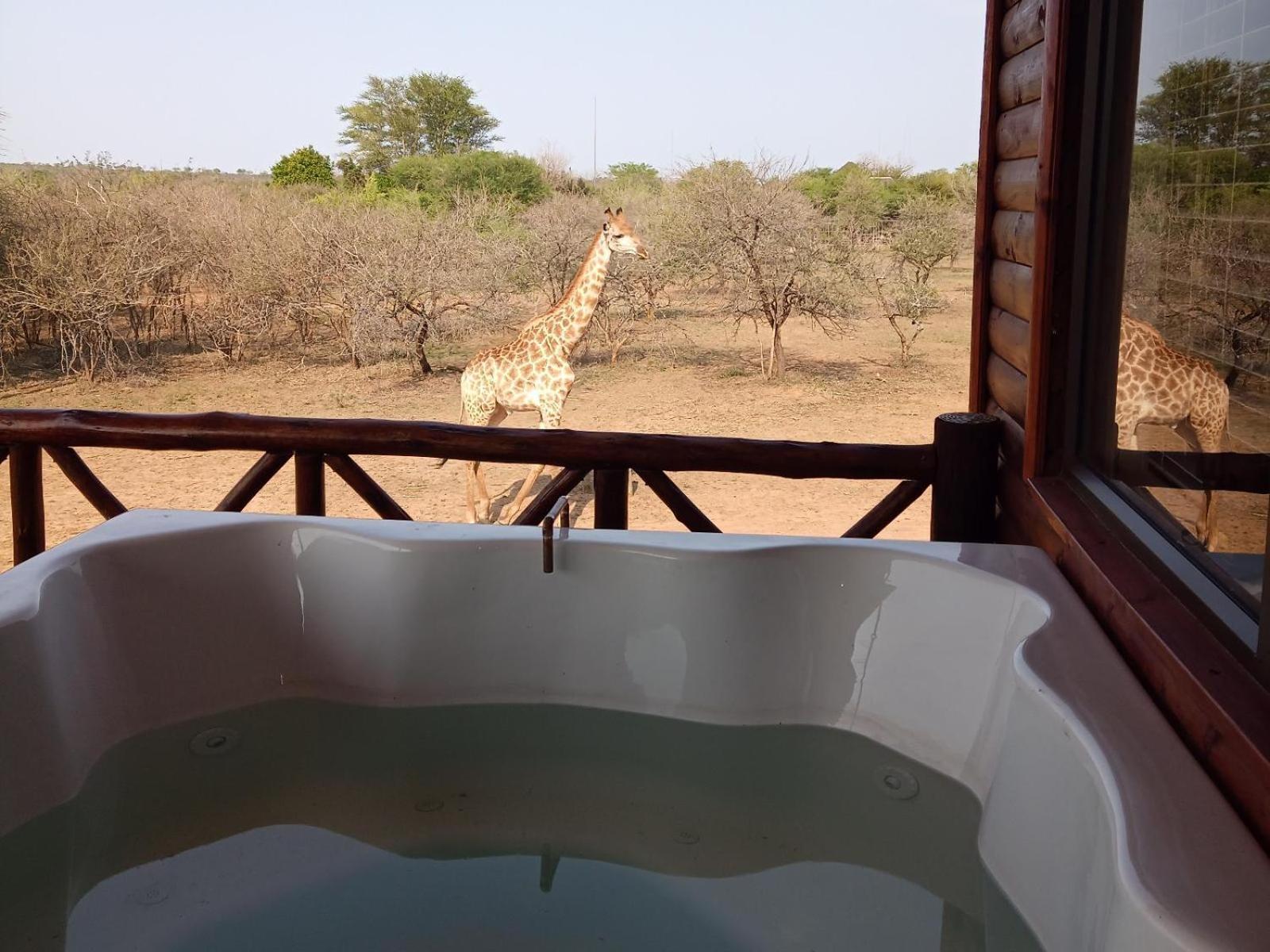 말로스 파크 Marloth Kruger View 아파트 외부 사진