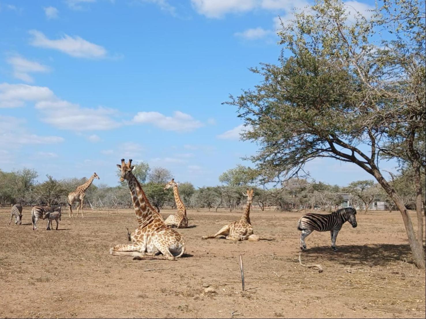 말로스 파크 Marloth Kruger View 아파트 외부 사진