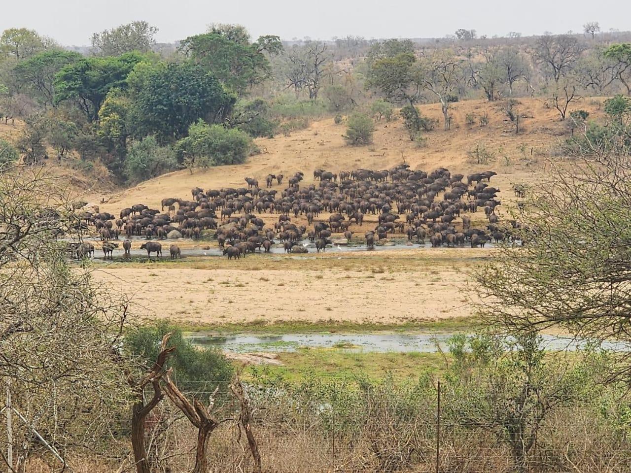 말로스 파크 Marloth Kruger View 아파트 외부 사진